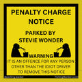 *Pre Order * The Stevie One - Jam Jar Stickers